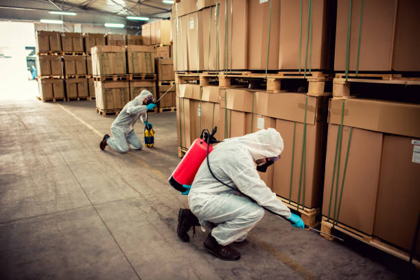 Best Pest Removal Services  in La Blanca, TX